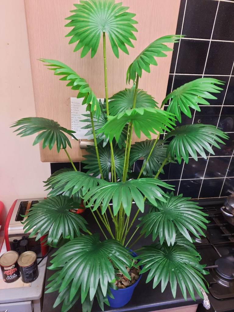 Artificial Fan palm plant. 