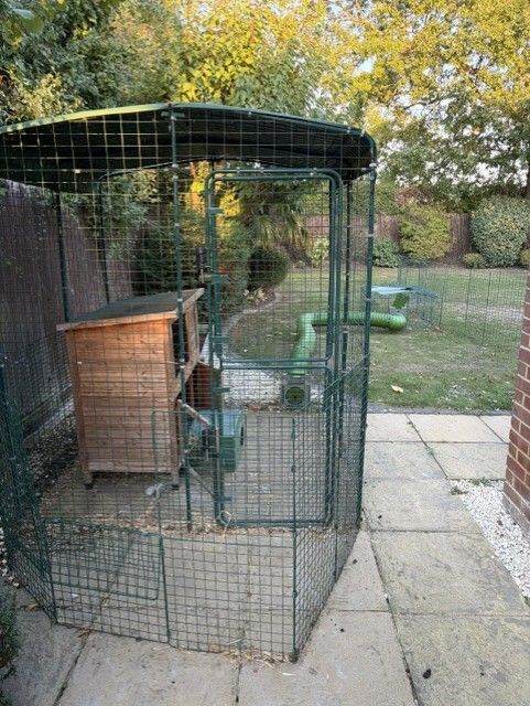 Omlet Rabbit & Pet Cages & Run