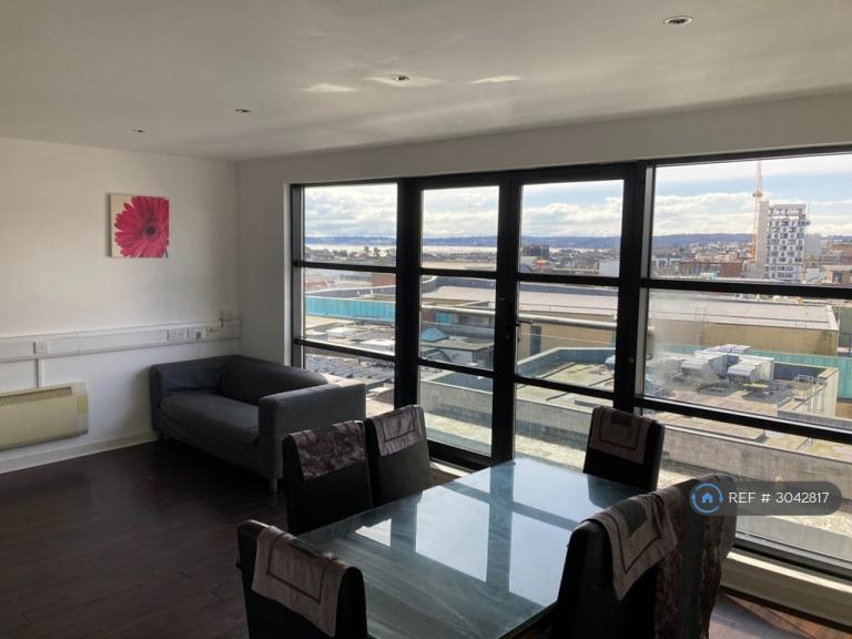 2 bedroom flat in Castle Lofts, Swansea, SA1 (2 bed) (#3042817)