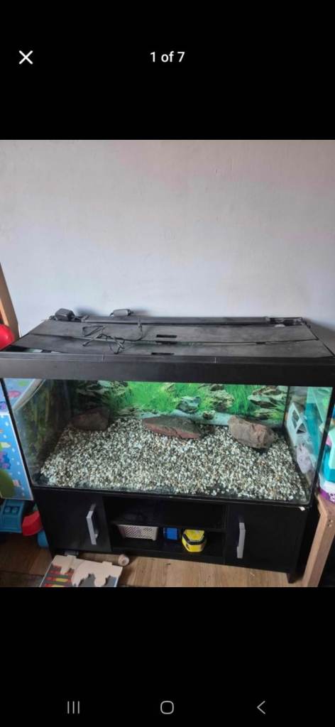 Fish tank