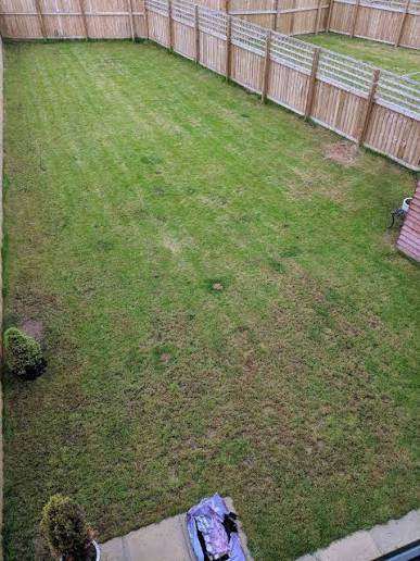 Urgent: Swap Council Homes - Garden council flat for swap wants Conversion flat or 1 bed house