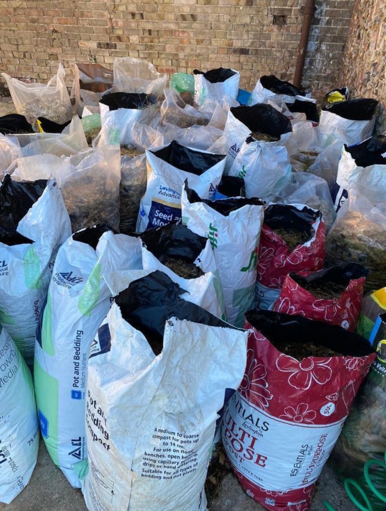 Horse Manure 🐴 💩 