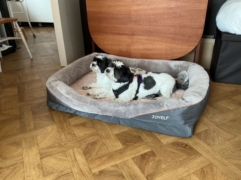 Large dog bed