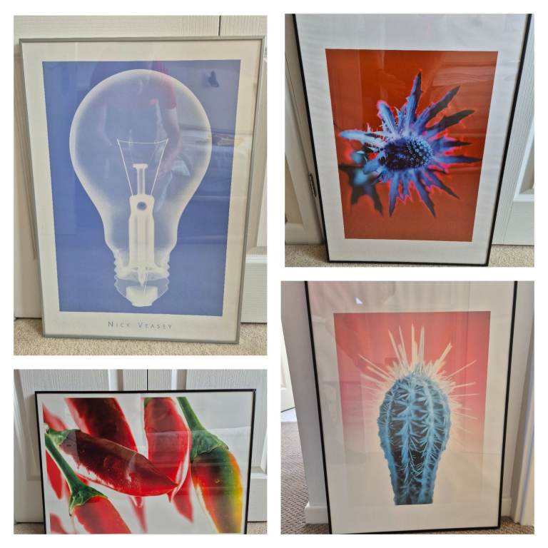 Lovely pictures in frame, size of frame is approx. 71cm x 51cm, £12 each or £40 for all