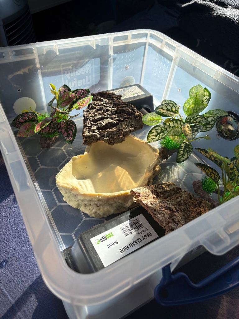 18L starter set up with heat mat for snake reptile corn snake ball python hognose etc 