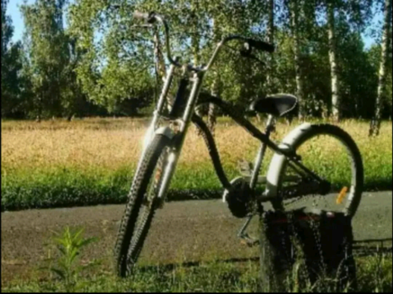 Tarantula bike beach cruiser chopper