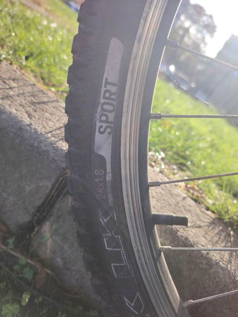 specialized girls mountain bike 24 inch wheels 