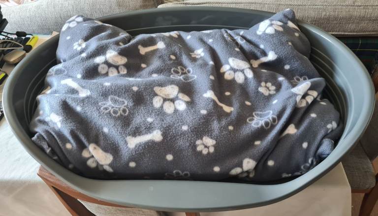 Large dog bed (Labrador size) 