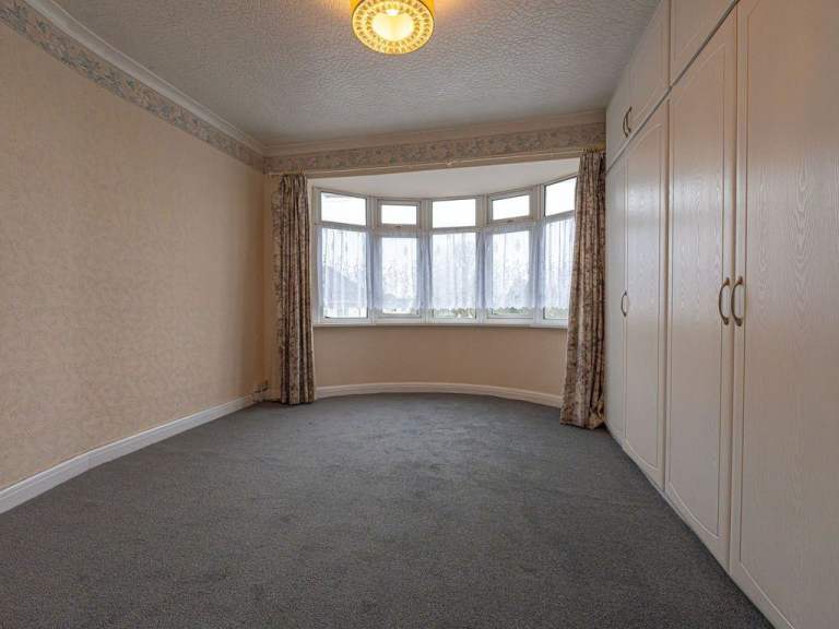 Carpet for sale