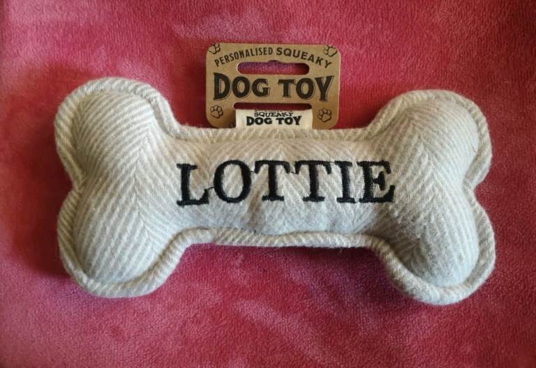 Lottie Dog Toy With Squeaker - Wool Blend - Brand New