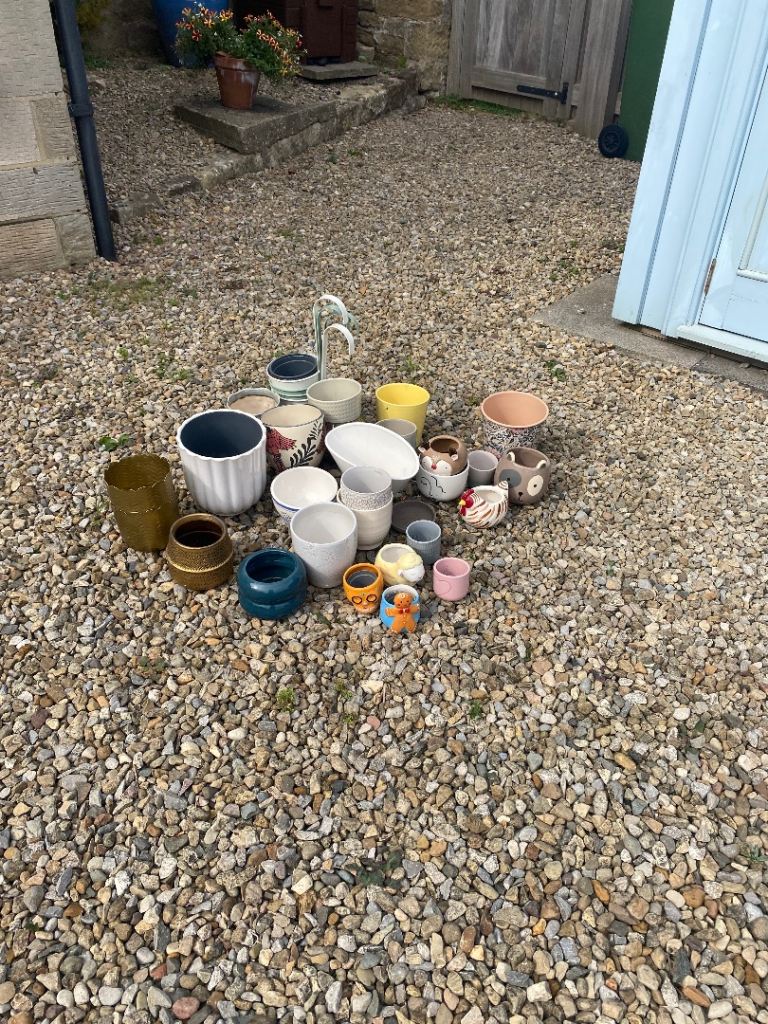 Free indoor plant pots to collect near Guisborough  - Job lot all must go 