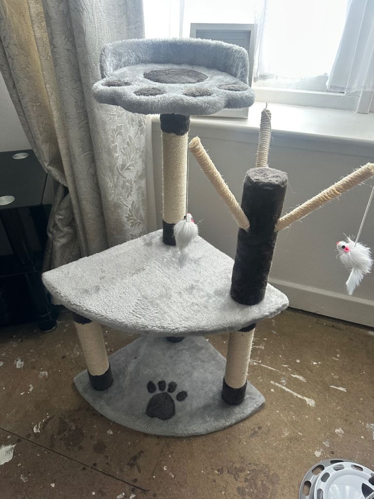Cat tree for kitten 