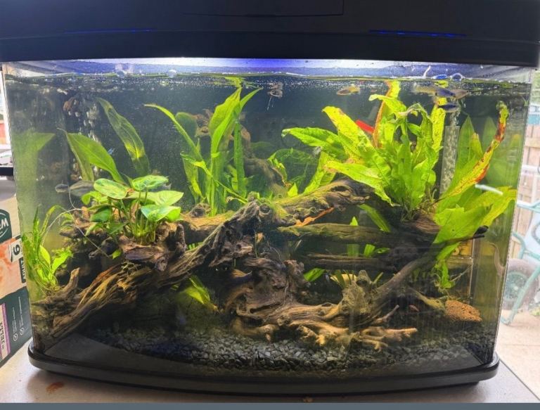 Fish box 80L full set up
