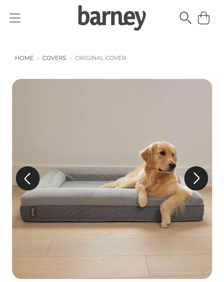 Barney Large Orthopedic Dog Bed