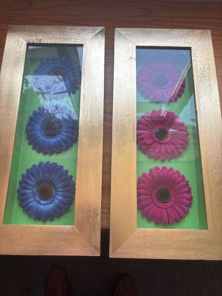 Framed glass pictures of red and blue petals / blooms 