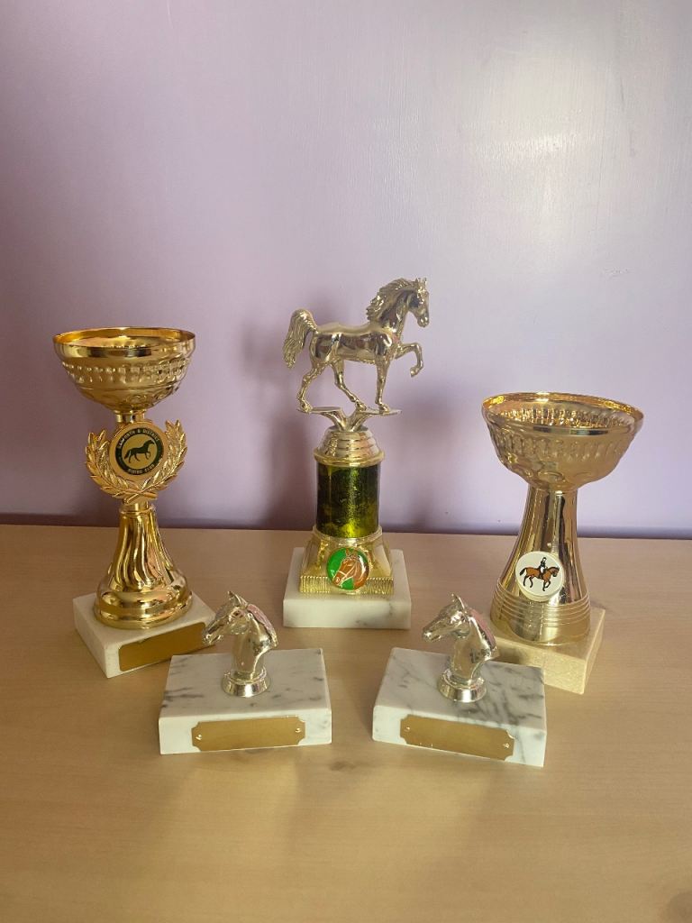 5 Equestrian Trophies Eventing, Showing, Inhand Etc. 