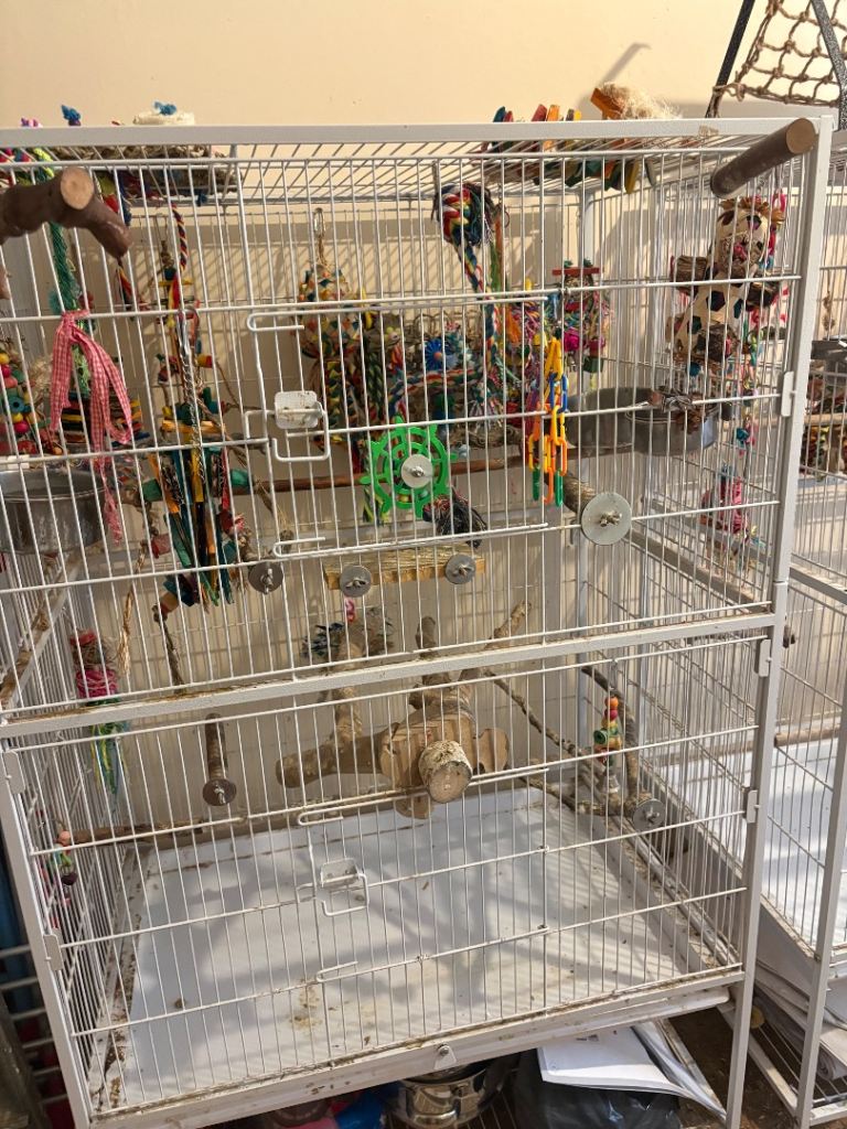 2 large cages, 2 large play stands and more