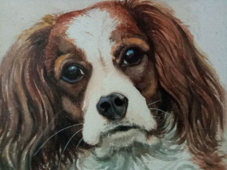 Cavalier King Charles Spaniel Dog Watercolour Painting in Frame
