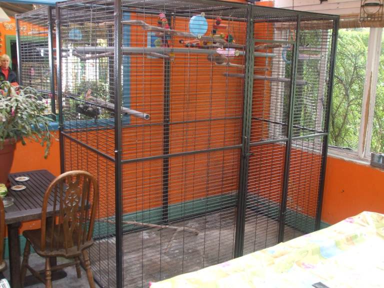 LARGE BIRD AVIARY 2m2