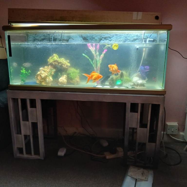 120 liter fish tank