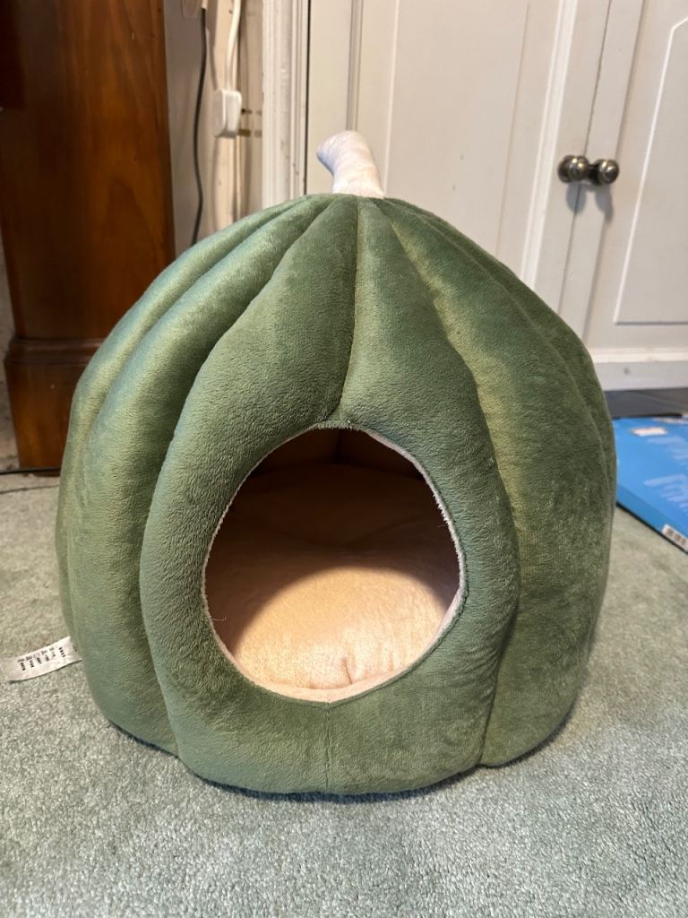 New pet pampking bed