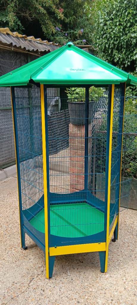 Bird cage 