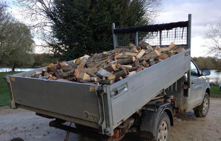 Barn stored ASH logs very dry logs 🪵 🔥 🪵