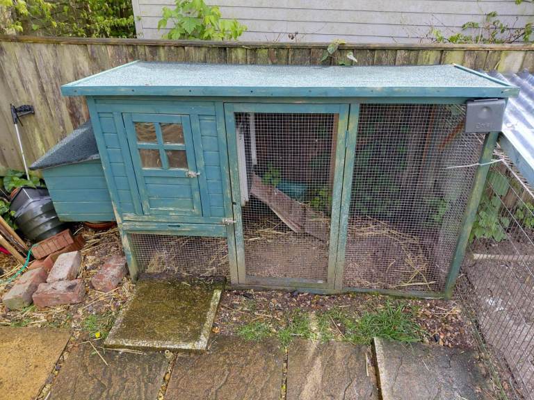 FREE Chicken Coop and Chicken Run!!