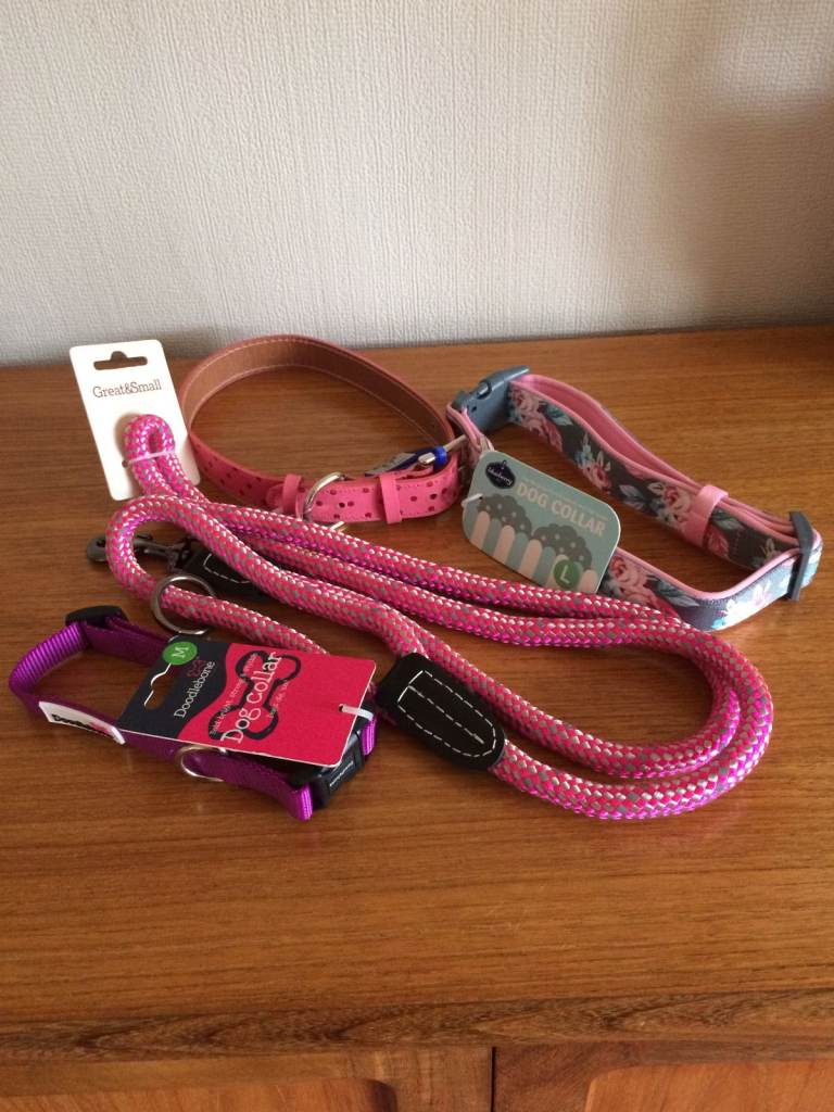 HARNESS LEAD &  3 DOG COLLARS PINK / PURPLE-NEW