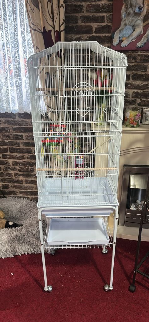 Bird cage