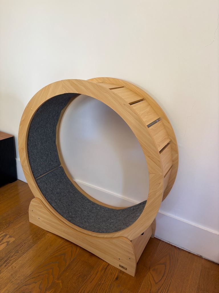 Cat wheel / treadmill 