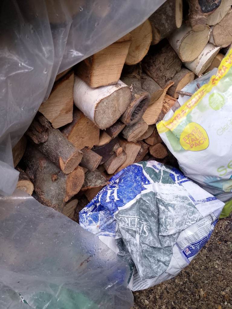 Timber wanted for logging 