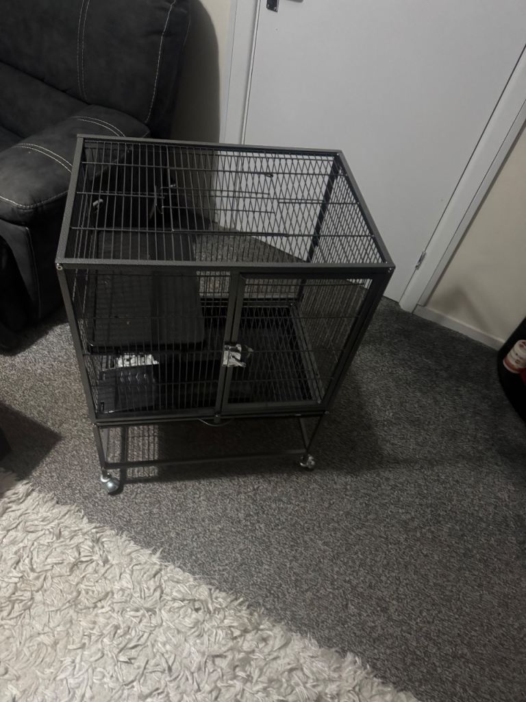 Budgie Cage