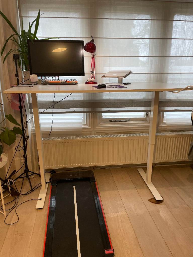 Moving Sale- TROTTEN Desk sit/stand, white, 160x80 cm and other furnitures