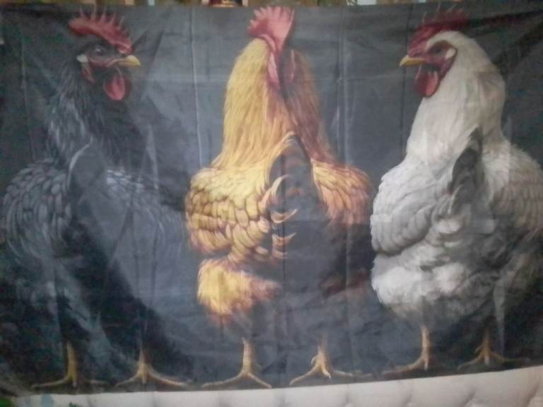 Flag 