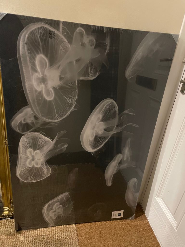 Large IKEA canvas 