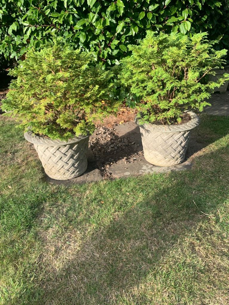 Pair of Large Stone Garden Planters with Plants