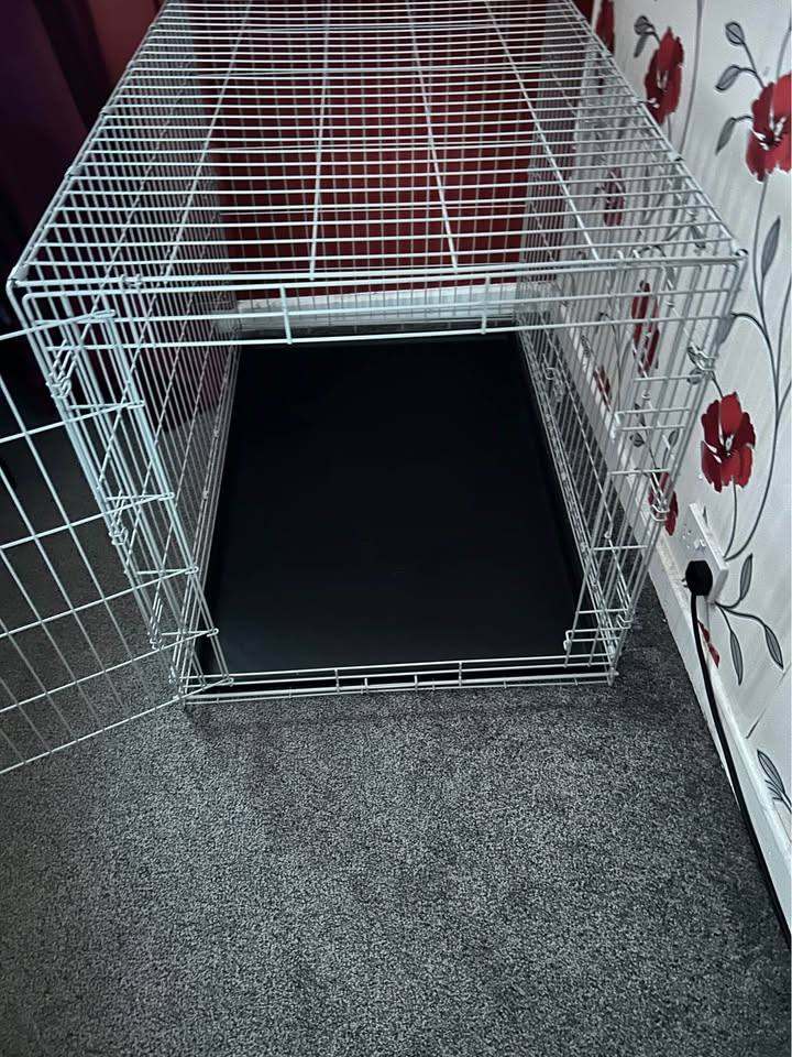LARGE DOG CRATE 
