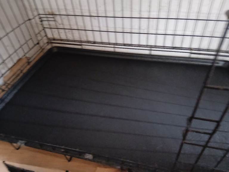 Large dog crate