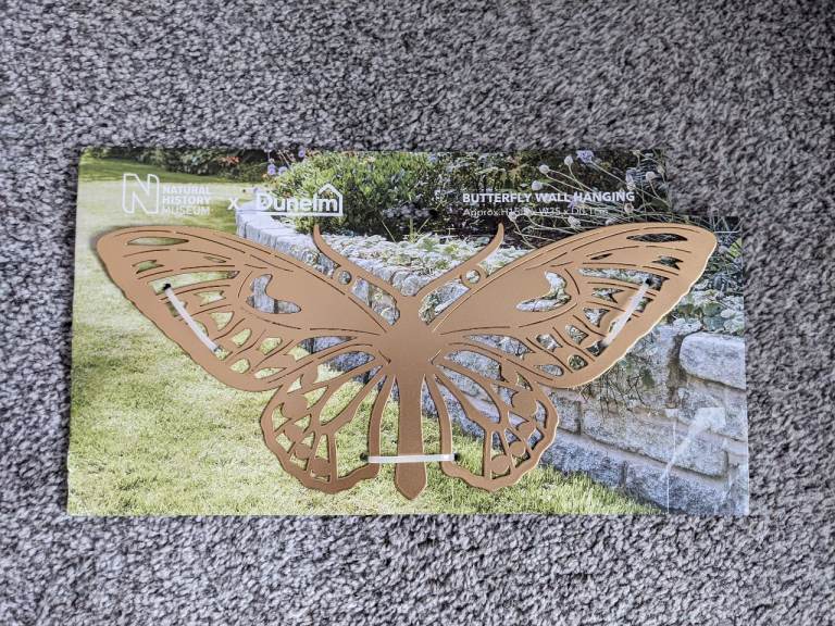 image for Butterfly Wall Decoration, New