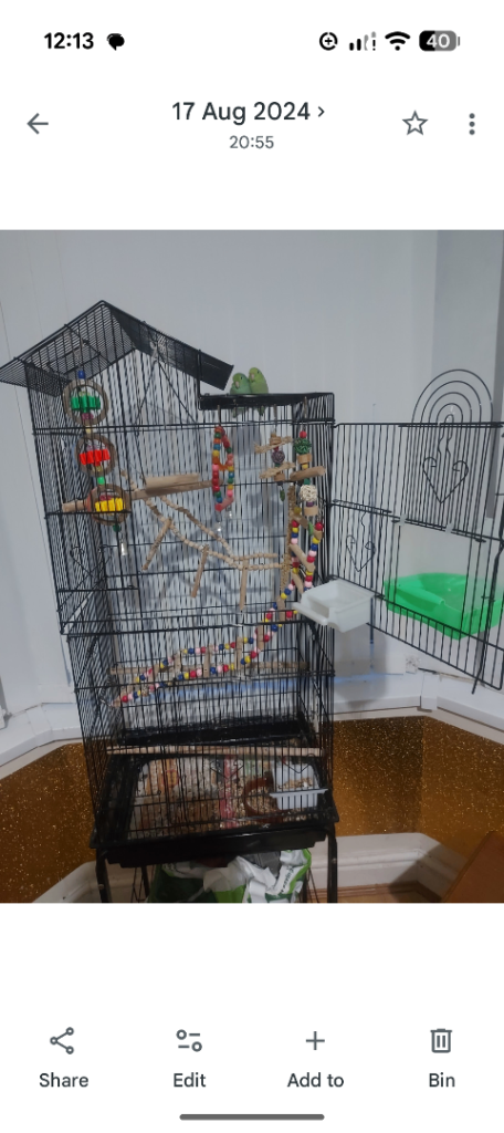 Bird cage for sale