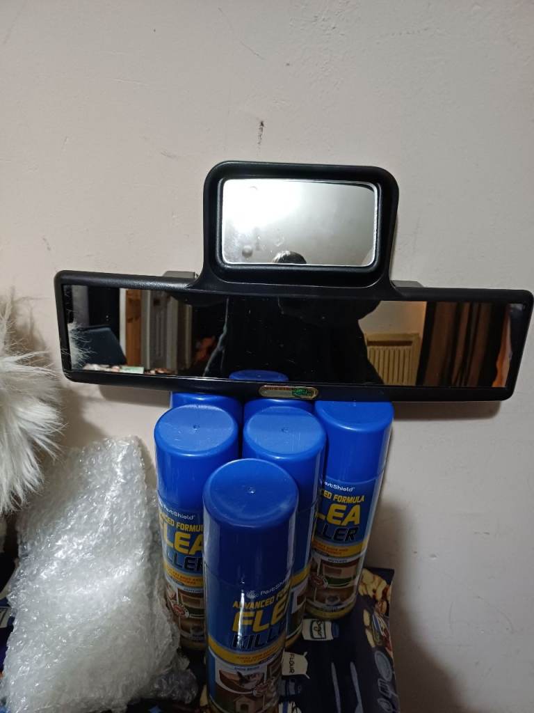 CAR MIRROR
