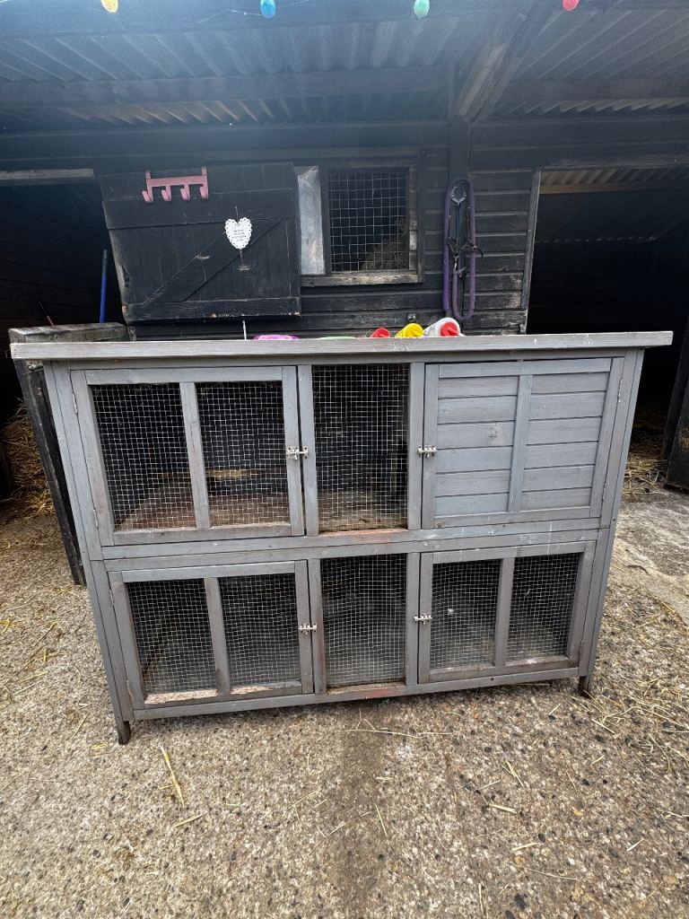 Rabbit/guinea pig hutch with accessories 