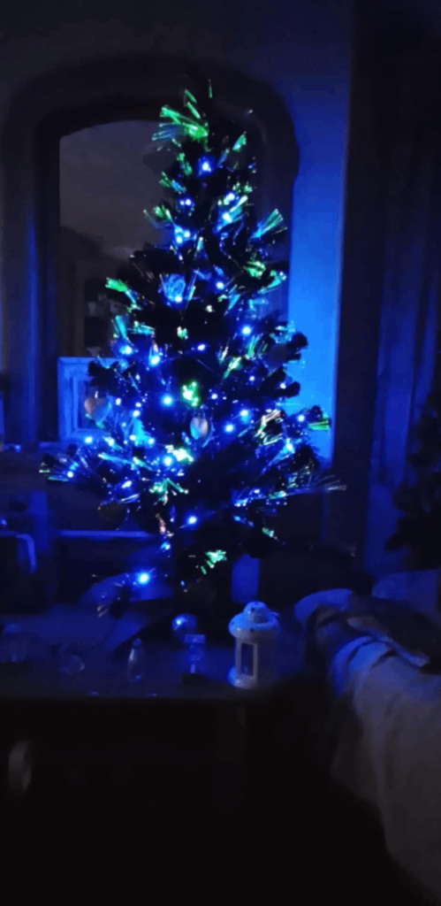 Wanted fish tank with filter and heater please 