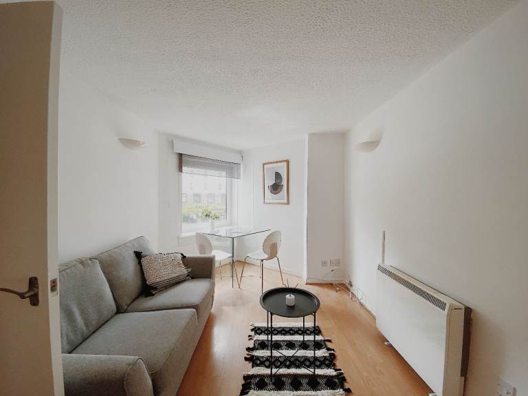 Fully Furnished One Bedroom Flat in Hamliton / The Furlongs
