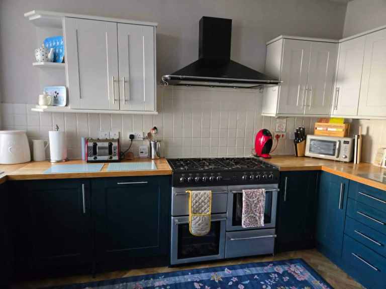 Kitchen for sale - proceeds to hedgehog rescue