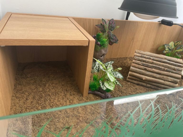 Tortoise Enclosure 