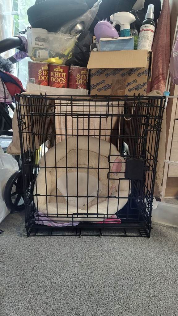 Dog crate 