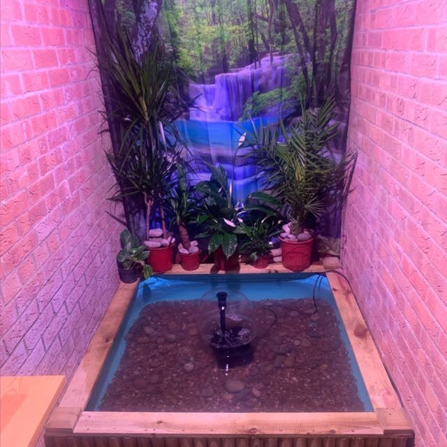 If your looking to REHOME pond fish look no further