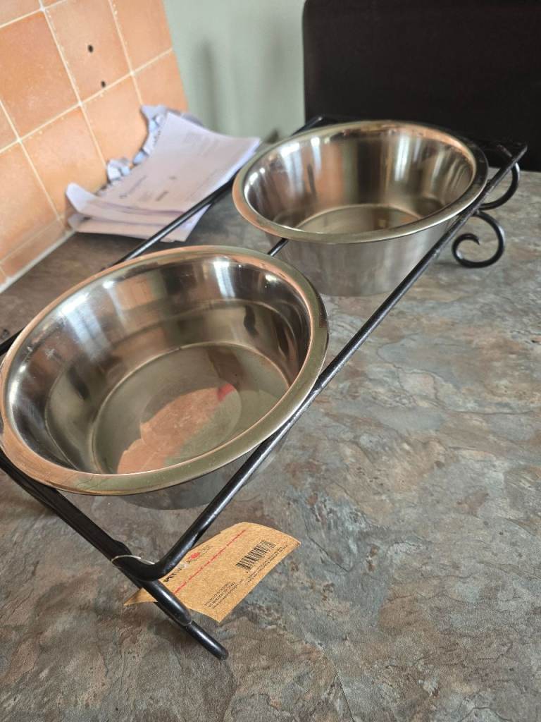 Dog raised bowls